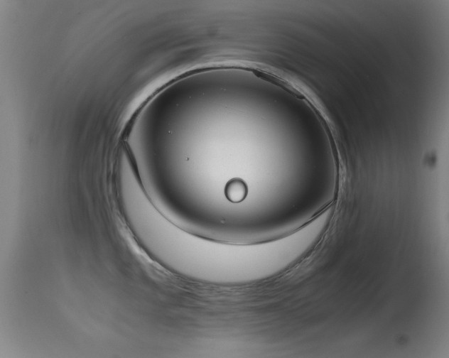 X0000114661101200910201525