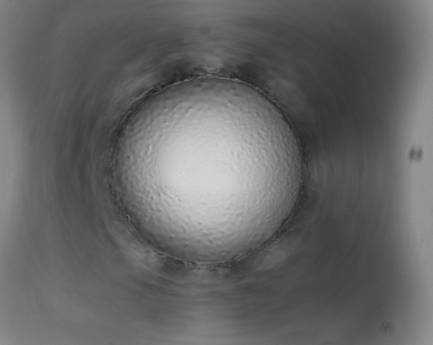 X0000114661105200910201524