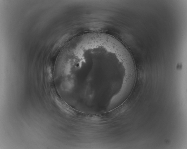 X0000114661106200910201524