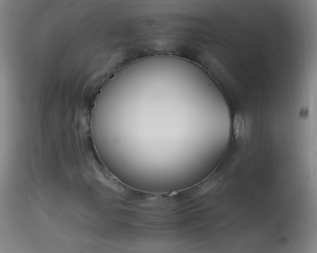 X0000114661107200910201524