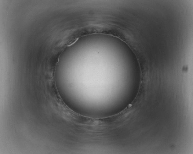 X0000114661109200910201524