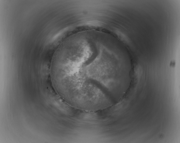 X0000114661110200910201524