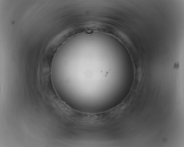 X0000114661111200910201524