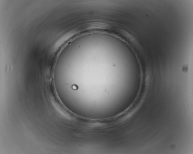 X0000114661113200910201524