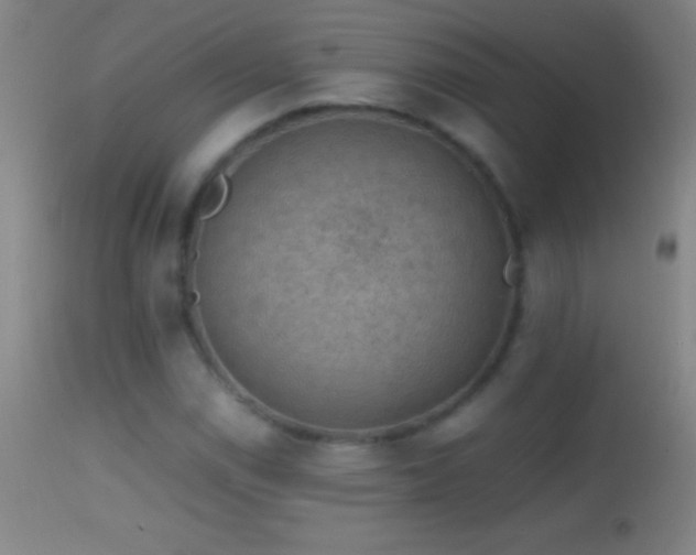 X0000114661114200910201524