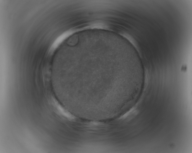 X0000114661115200910201524