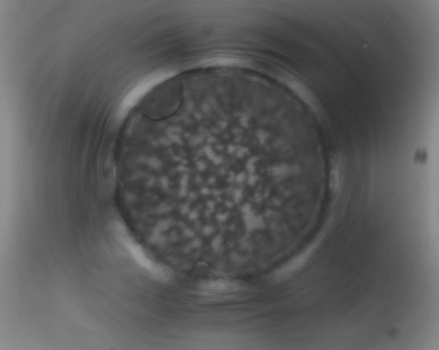 X0000114661117200910201524