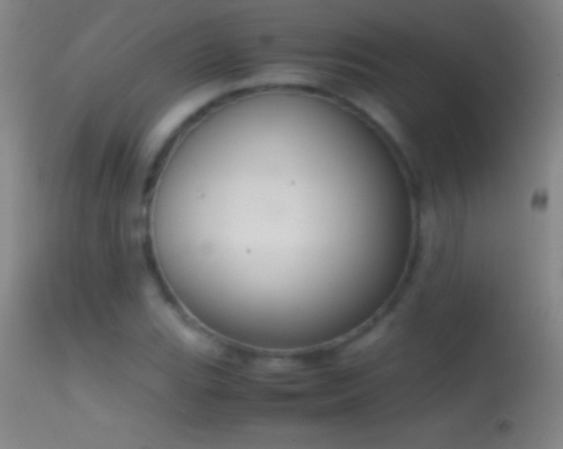 X0000114661119200910201524