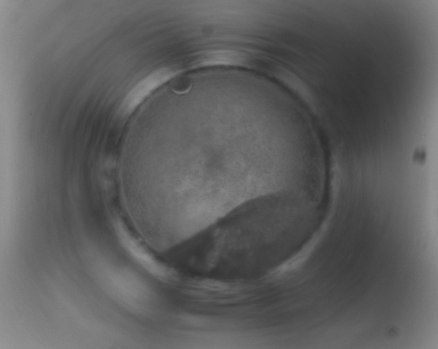 X0000114661121200910201524