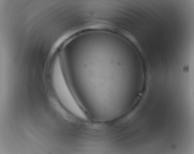 X0000114661122200910201524