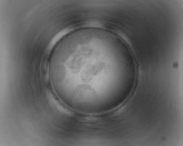 X0000114661123200910201524