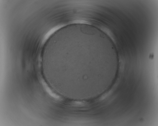 X0000114661125200910201524