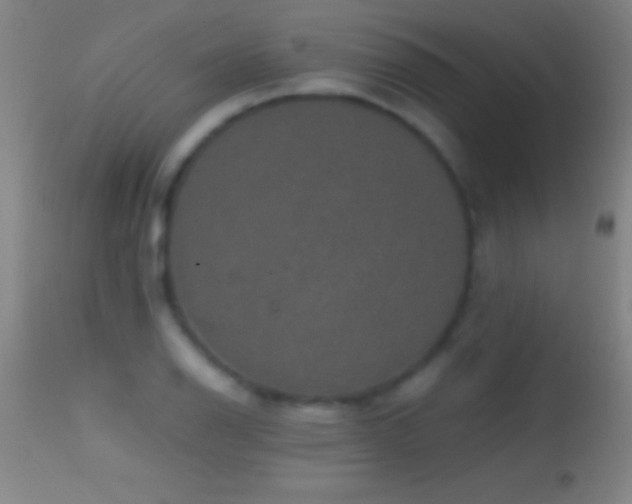 X0000114661126200910201524