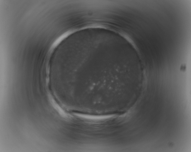 X0000114661127200910201525