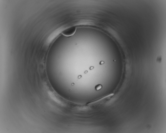 X0000114661129200910201525