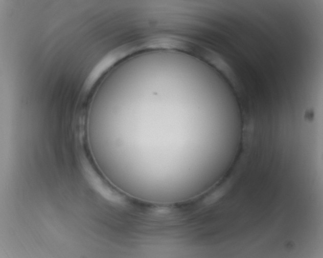 X0000114661130200910201525