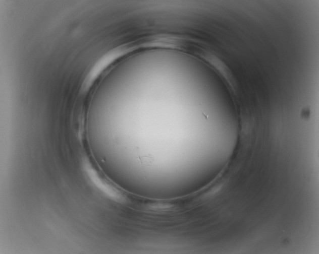 X0000114661131200910201525