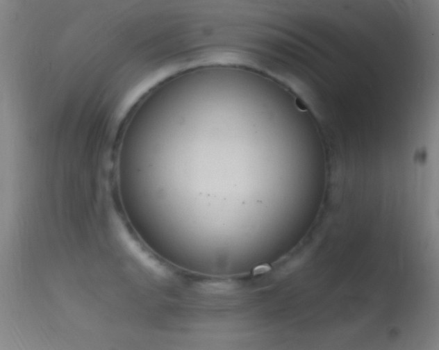 X0000114661134200910201525