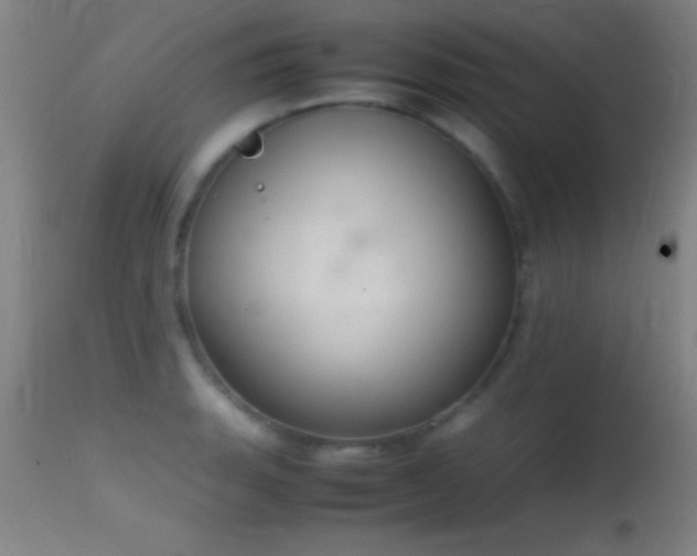 X0000114661135200910201525