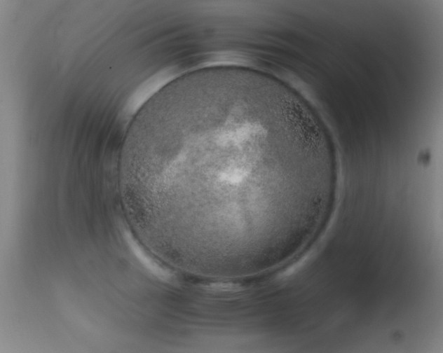 X0000114661137200910201525