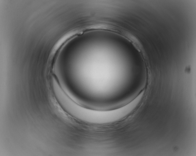 X0000114661138200910201525