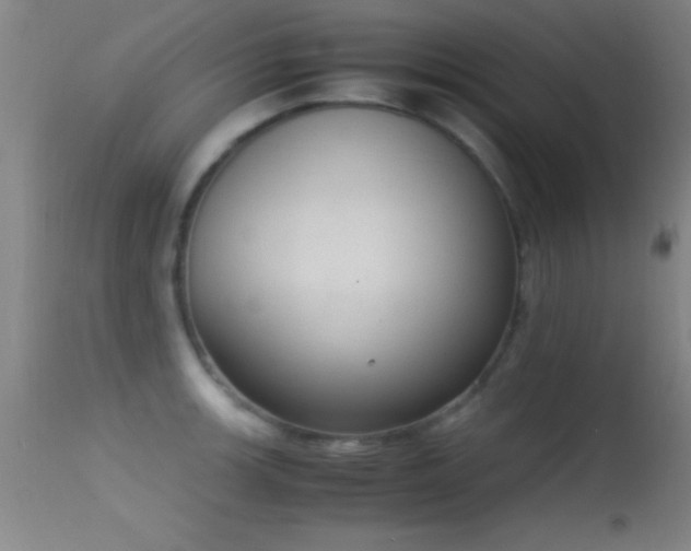 X0000114661139200910201525