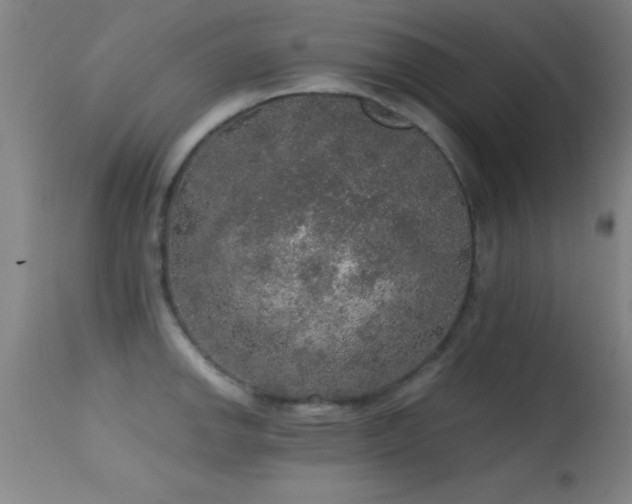 X0000114661142200910201525