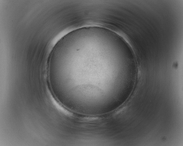 X0000114661143200910201525