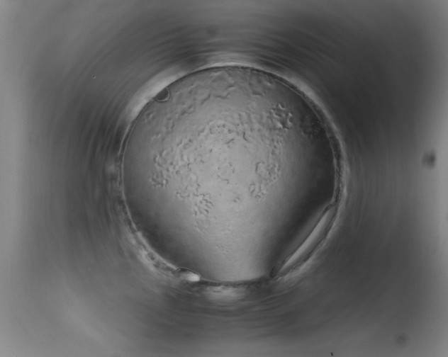 X0000114661145200910201525