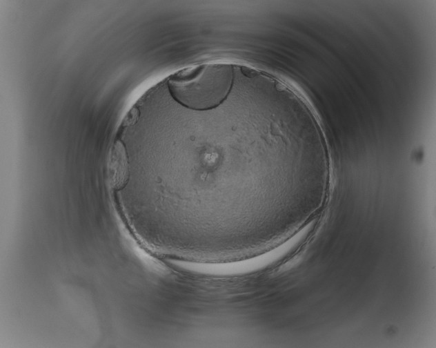 X0000114661149200910201525