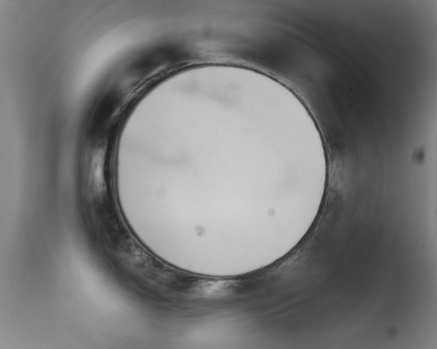 X0000114661150200910201525