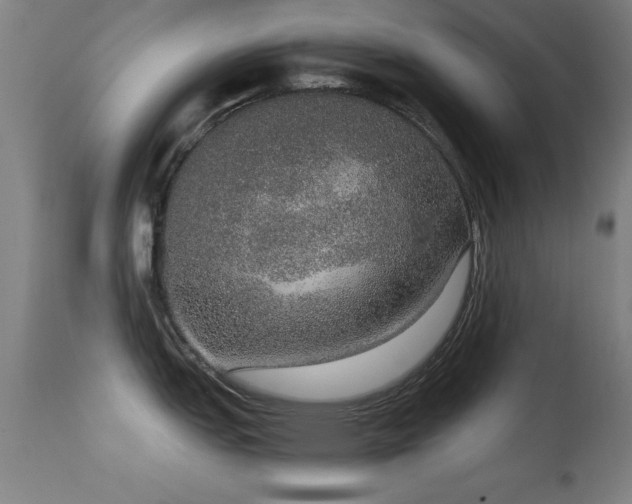 X0000114661151200910201525