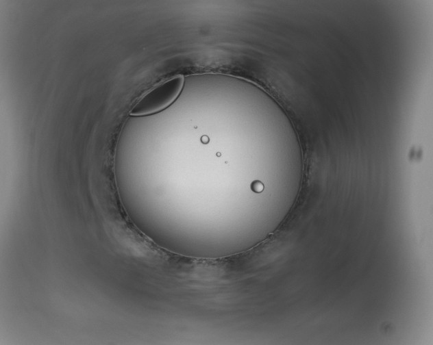 X0000114661153200910201524