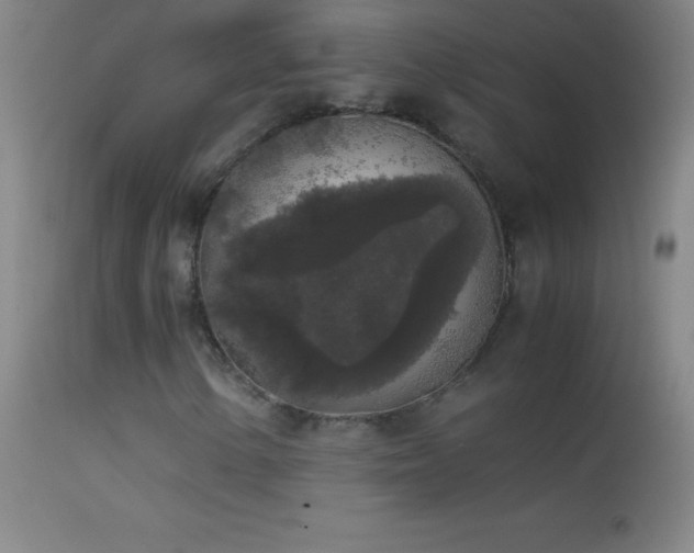 X0000114661154200910201524