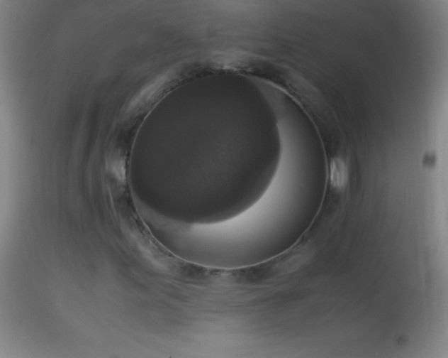 X0000114661155200910201524