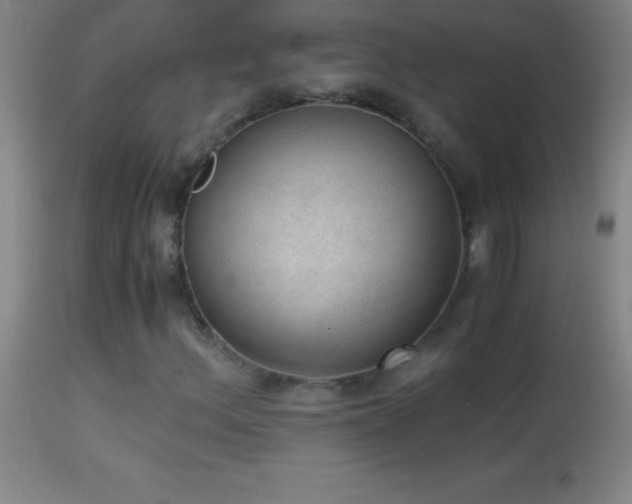 X0000114661156200910201524