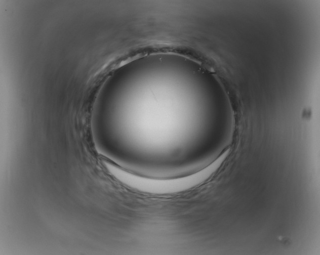 X0000114661157200910201524