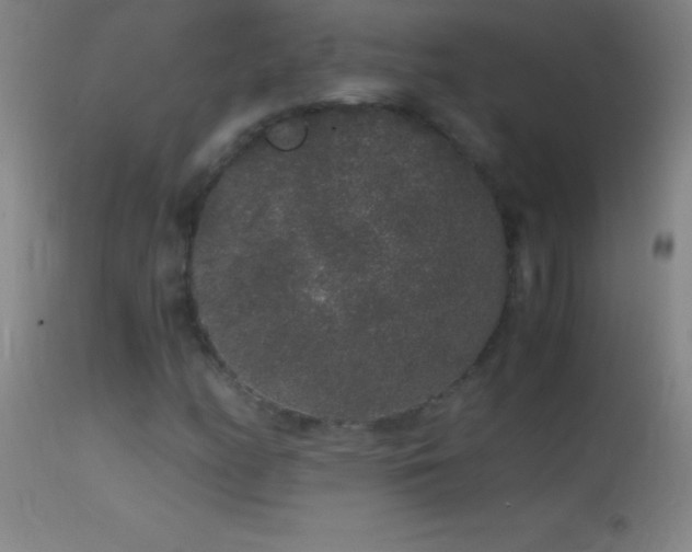 X0000114661158200910201524