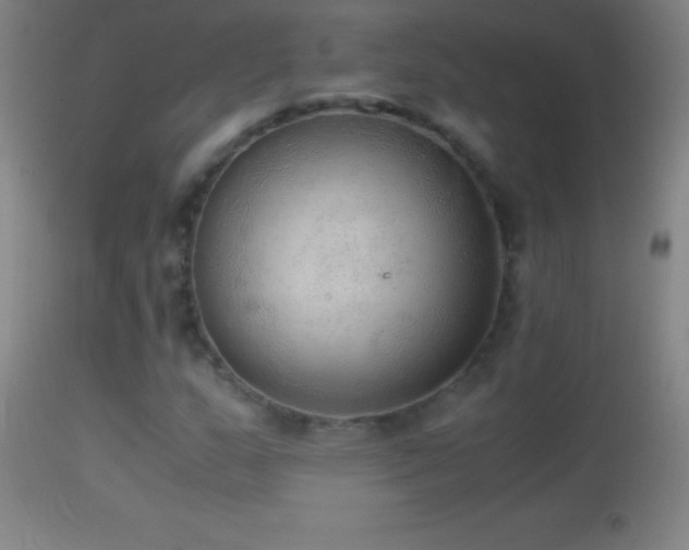 X0000114661159200910201524