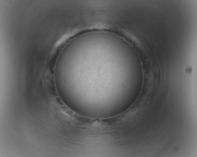 X0000114661160200910201524