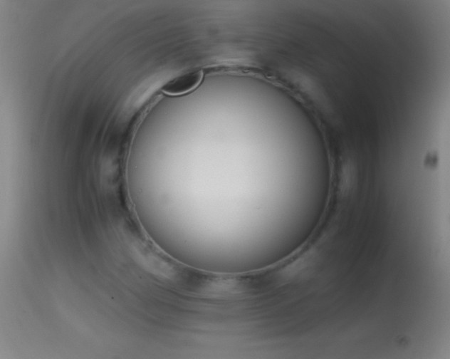 X0000114661162200910201524