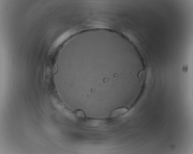 X0000114661163200910201524