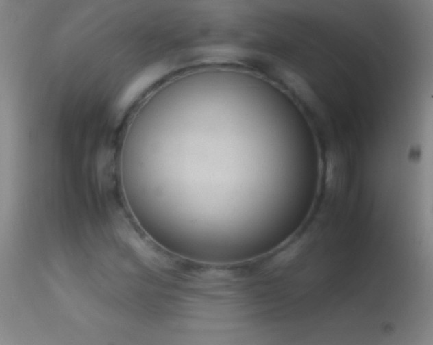 X0000114661164200910201524