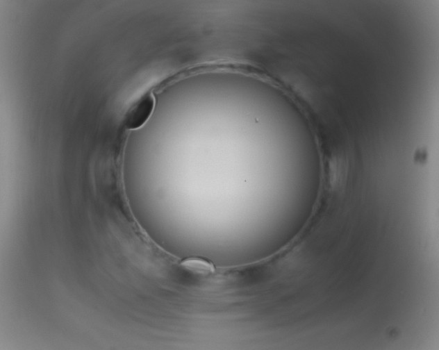 X0000114661165200910201524