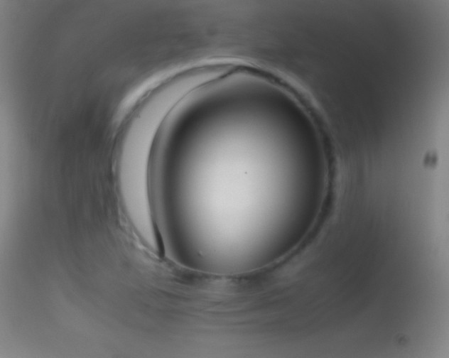 X0000114661167200910201524