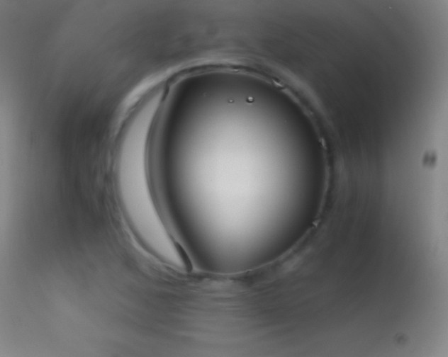 X0000114661168200910201524