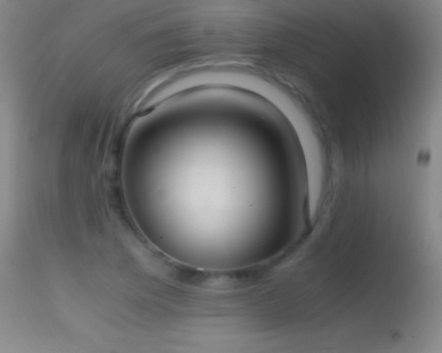 X0000114661169200910201524