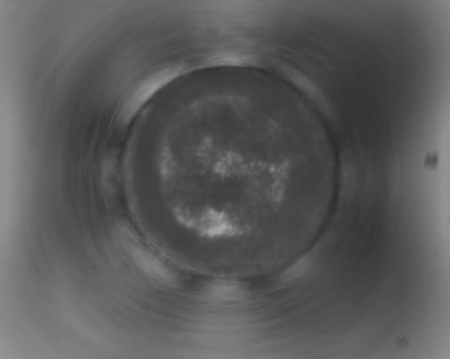 X0000114661170200910201524