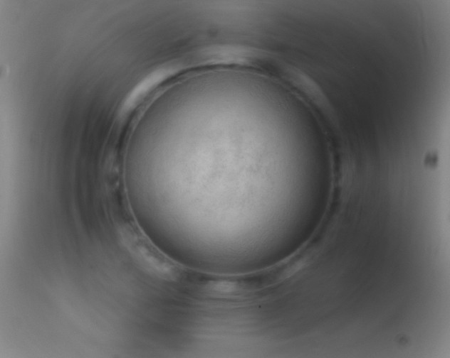 X0000114661172200910201524