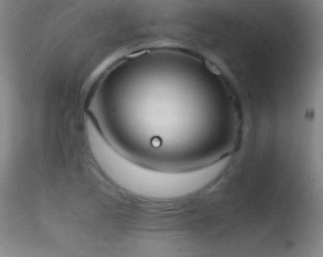 X0000114661173200910201524